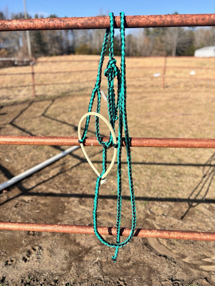 Muletape halters