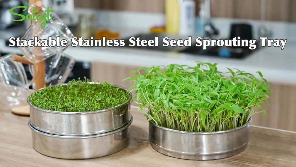 Stackable Stainless Steel Seed Sprouting Kit - 2-Tier Mesh Trays, Base & Lid