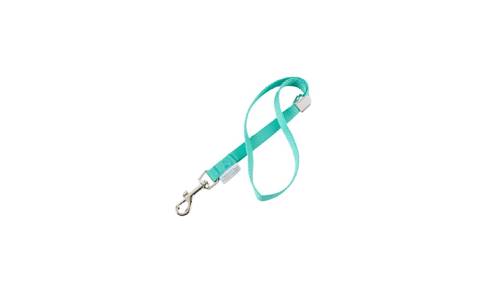 Groomer Essentials 17" Grooming Loops - Turquoise