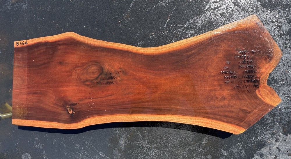 Hawaiian Milo Board #8566