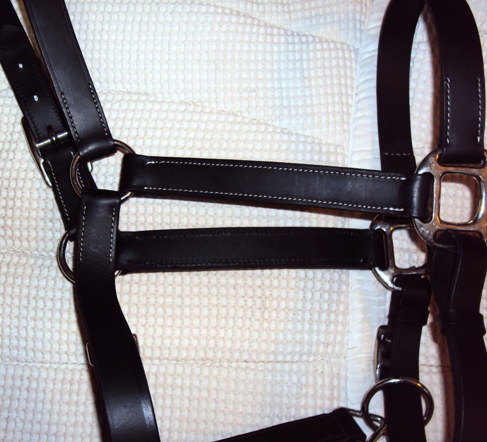 ABETTA Leather BLACK Halter- Silver Hardware/Snap - Adjustable - Full Size - NEW