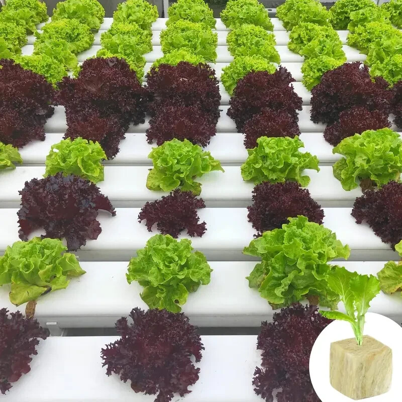 4 Sheets 200 Rock Wool Cubes 200 Plugs Stonewool Seed Starter Hydroponic Grow