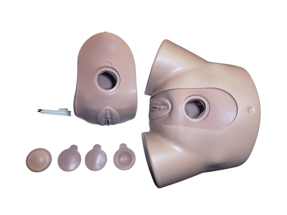 Limbs & Things Female Catheterization Simulator Trainer with Inserts & Case