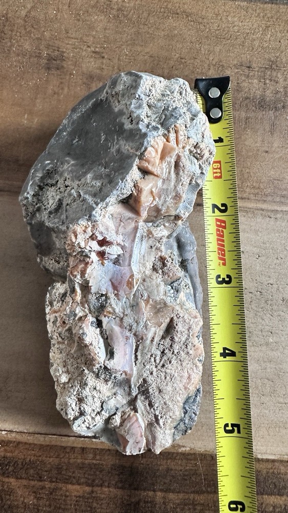 Opalized Petrified Wood For Display Specimen Rough Navada USA