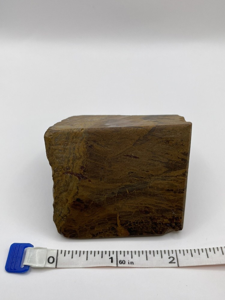 Petrified wood
