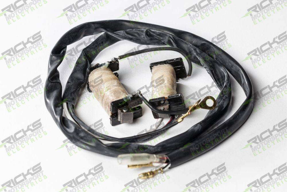 Ricks Stator Rebuild Kit For Suzuki RM125 1981-1985