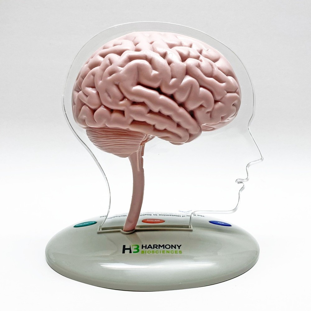 Harmony Biosciences 3D Brain Model, Battery Operated, Working