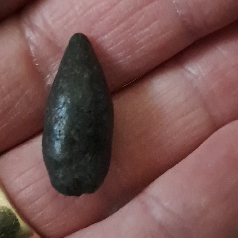 10 Fossil Fish Bone TILLY Hyperostosis