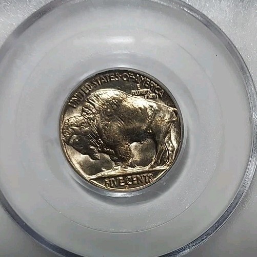 1938 D Buffalo Nickel PCGS MS66