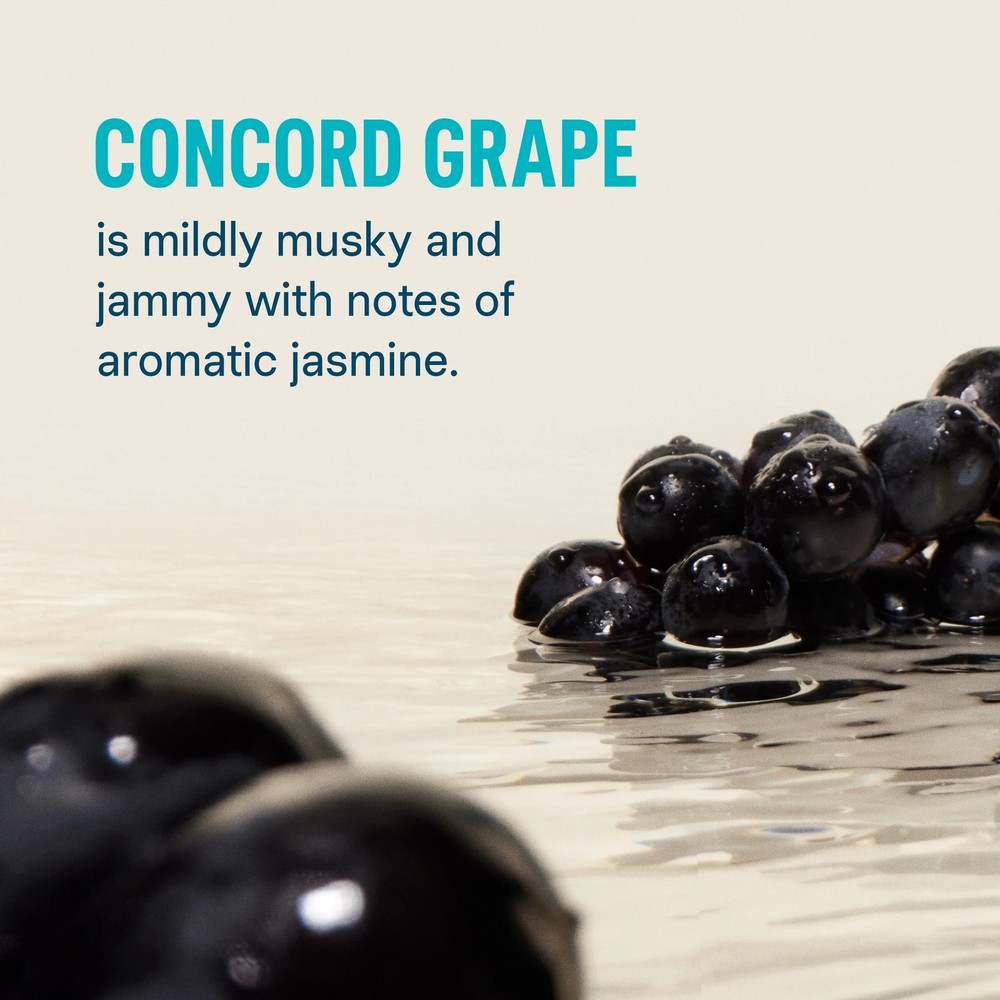 Concord Grape Hydration Electrolyte Drink Mix