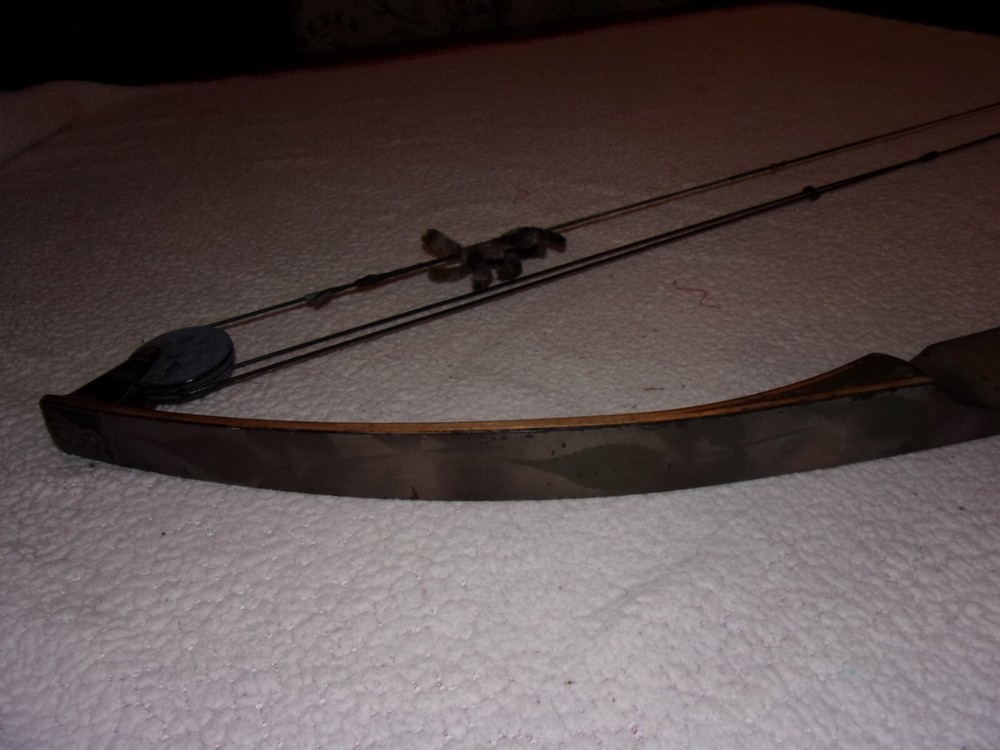 American Archery Wood Compound Bow