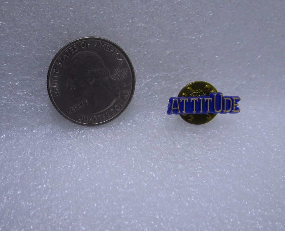 Attitude Plastic Pin