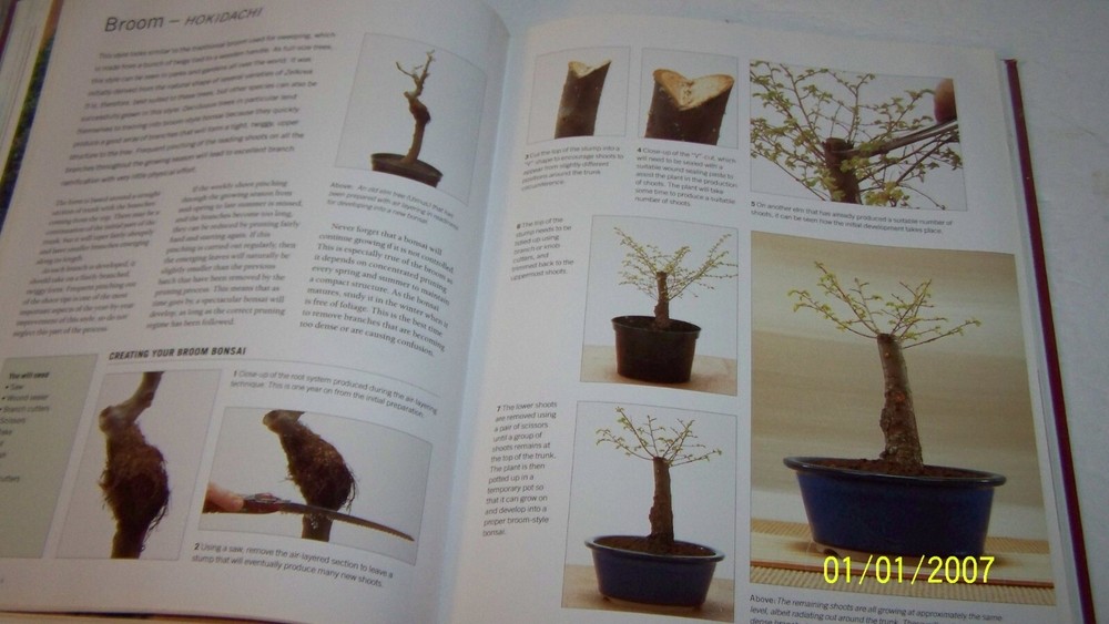 BONSAI BOOK HOW TO DO