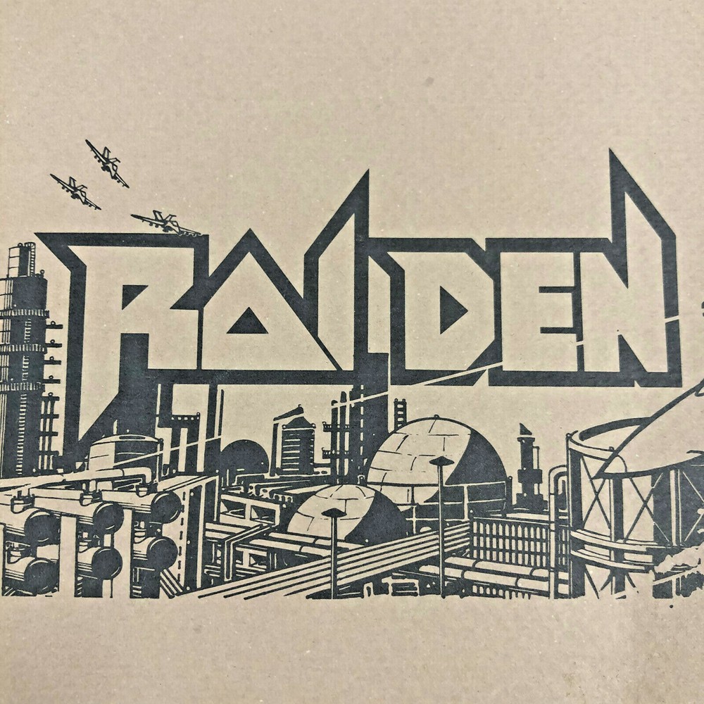 Fabtek Raiden Arcade Game Machine Owner's Manual Schematics
