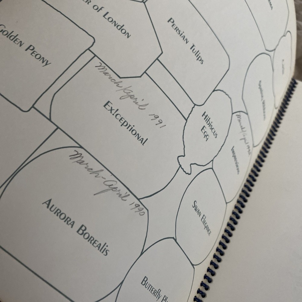 Marnie Ritter's Canvas Patterns 2004 Spiral-bound Autographed Needlework Stitch