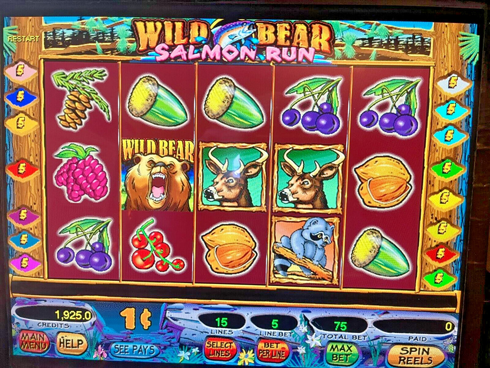 IGT I-game Wild Bear Salmon Run Software