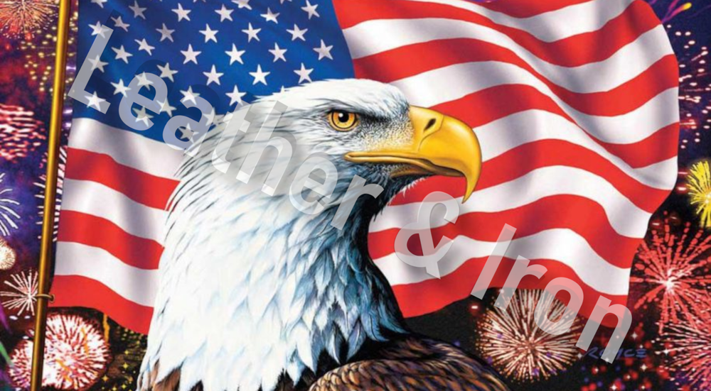 American Flag Bald Eagle Profile Design Vinyl Checkbook Cover