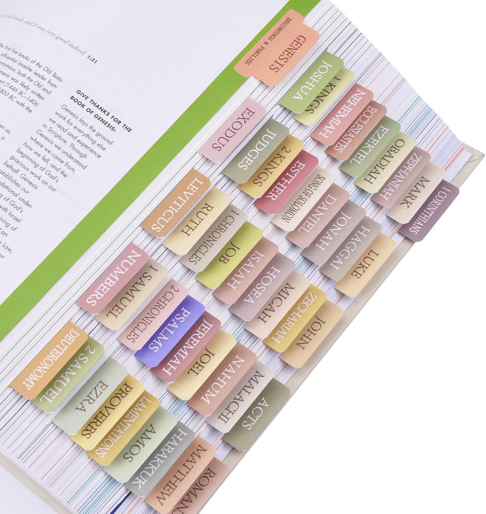 Laminated Bible Tabs for Study Bible New & Old Testament Tabs Bible Book Tabs