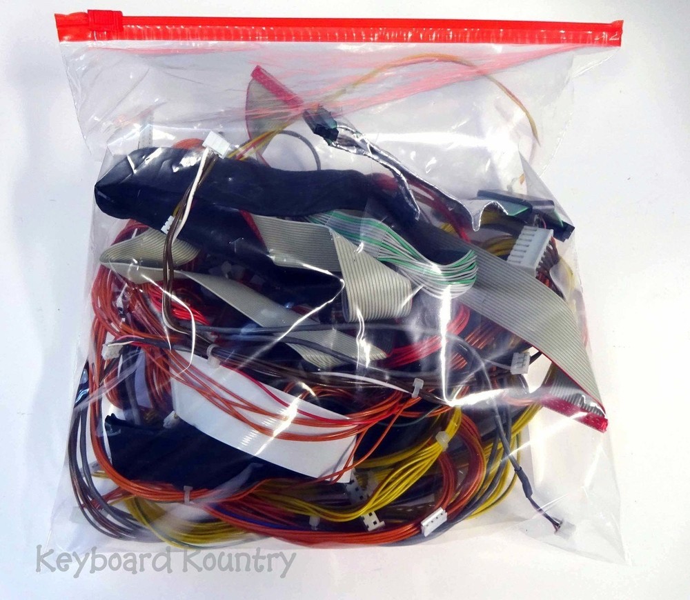 Korg Triton Studio 61 Complete Wiring Harness