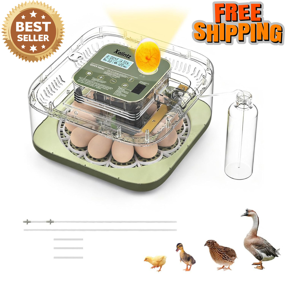 Automatic 12 Egg Incubator - Digital Temperature/Humidity Display