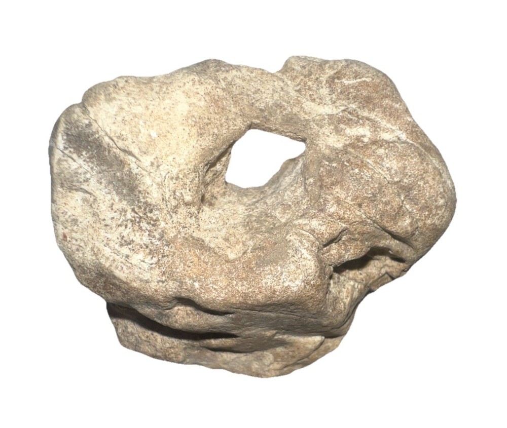 Natural hag stone 1.15oz.