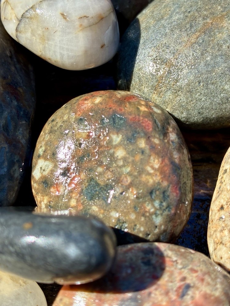 Jasper~ Solid ~ Lapidary ~ Rough Mixed Assortment 3 Lbs