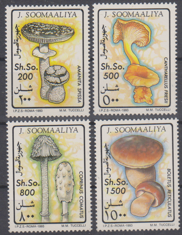 Mushrooms Somalia MNH 6503