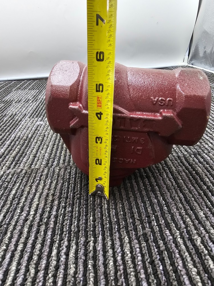 BALON 1641 2" Swing Check Valve 2000 WP NACE Heavy Duty Threaded Bore
