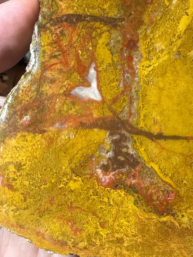 Beautiful Utah Yellowcat **hxtled agate.