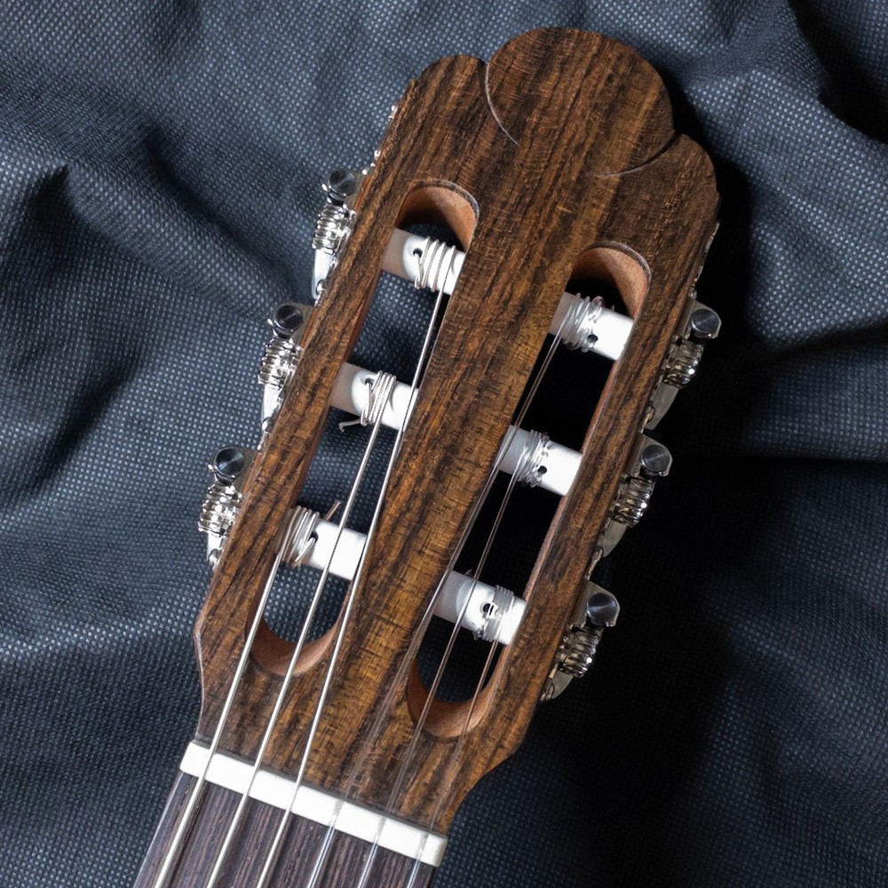 Esteve Organic Eco-Series Solid Spruce Top Classical Guitar