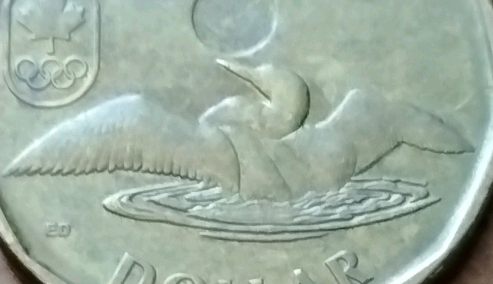 2014 Canada Loonie One Dollar Coin