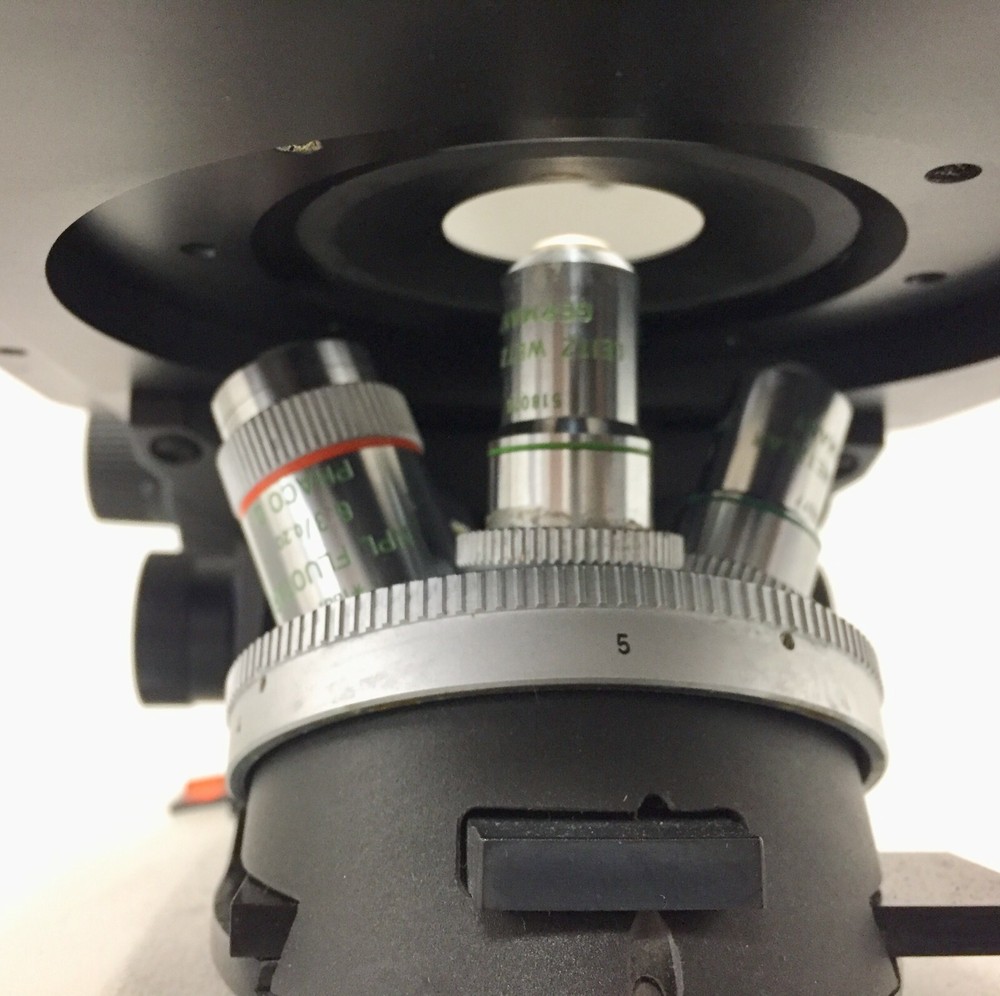 Leitz Labovert FS Inverted Microscope w 5 Objectives & Light Source