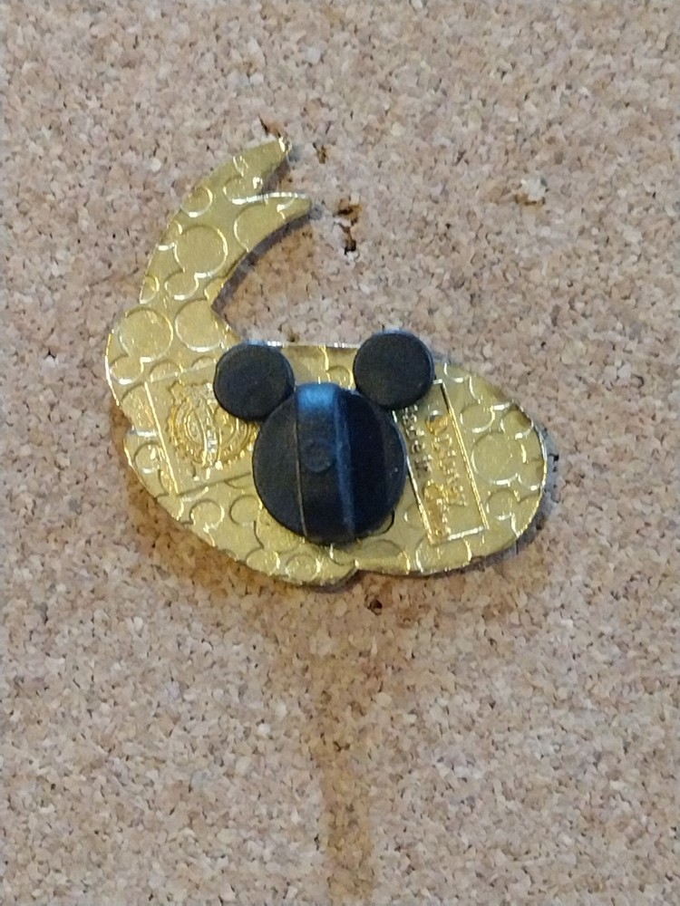 Donald Duck Hat Disney Trading Pin