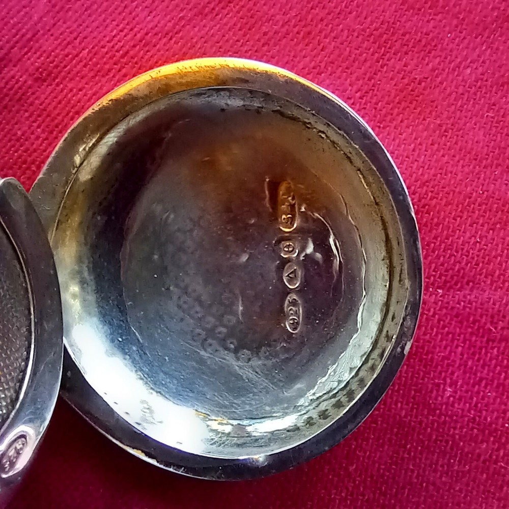Superbe Niello Silver Sovereign Case