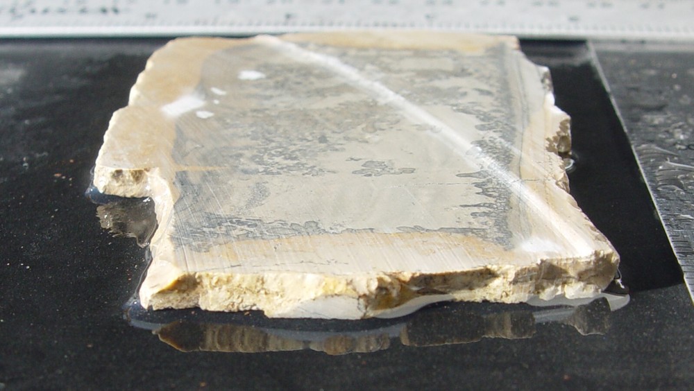 Cotham Marble Lapidary Slab T1029