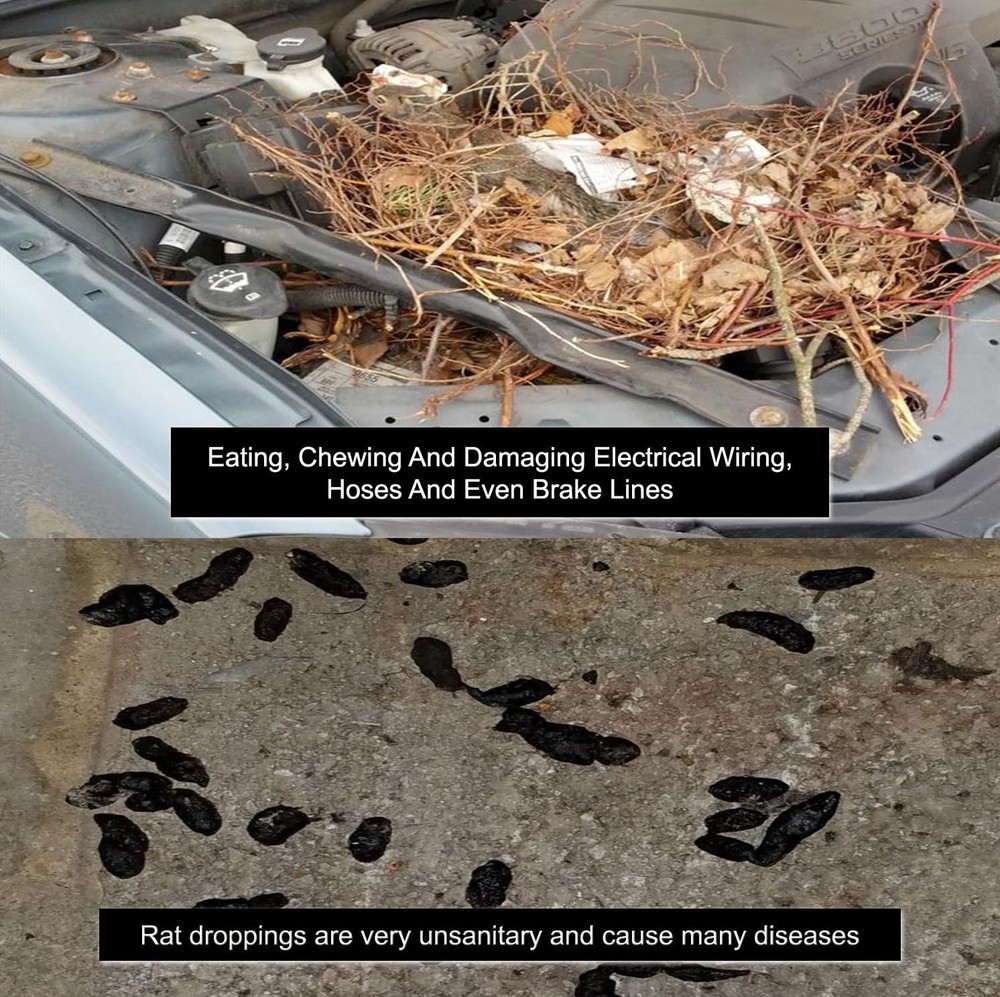 Engine & Vehicle Rodent Deterrent 128 Oz