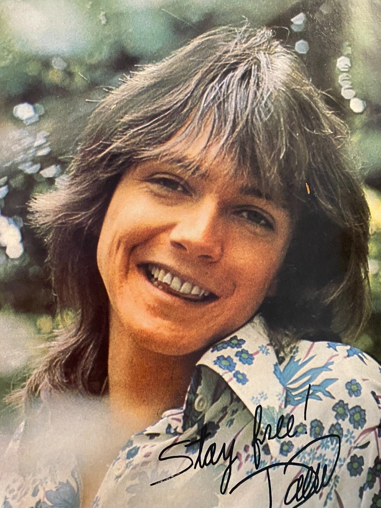 David Cassidy, Full Page Vintage Pinup, aa