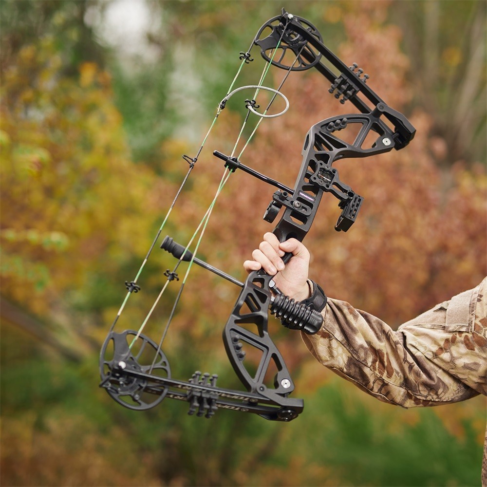 Compound Bow 30-70lbs Adjustable Archery Bow Carbon Arrows Hunting Shoot Target