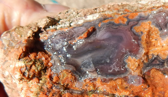 Laguna Agate Cabbing rough