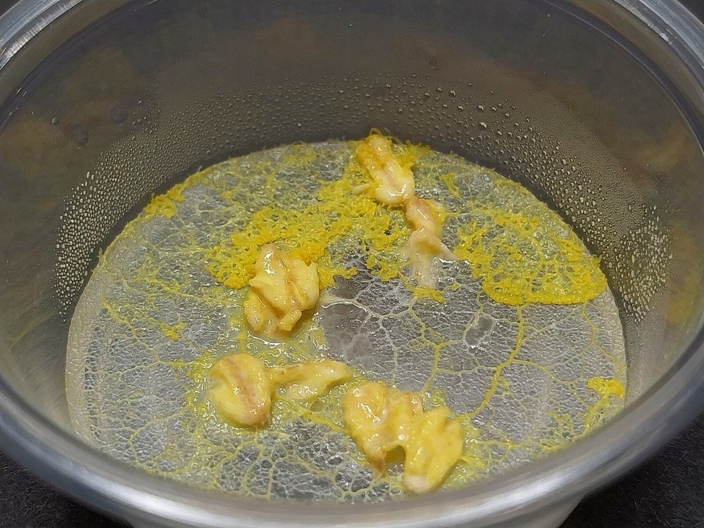 Pet Blob Home School Science Kit Complete with Tools & Instructions