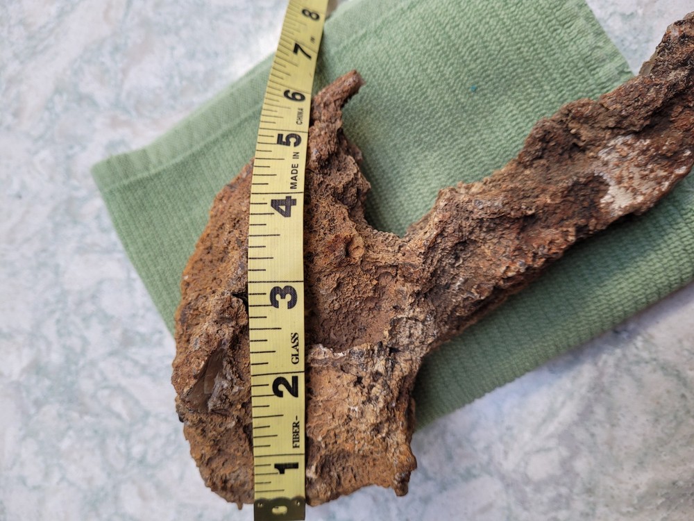 Unique Unknown rock formation (Alien Head Shape) 3lbs