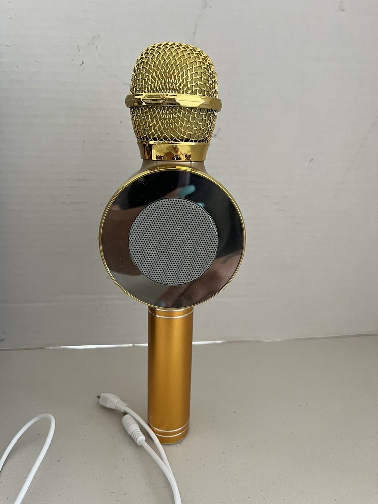 Handheld Ktv WS-668 Karaoke Microphone Plus Voice Controller TESTED WORKING