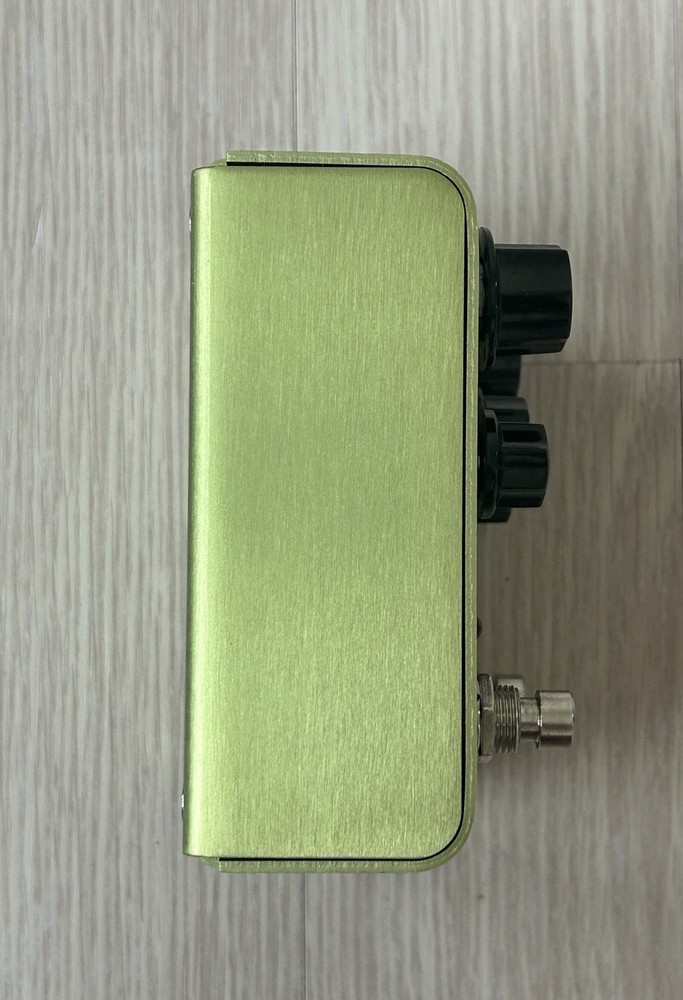 Strymon Brigadier Delay