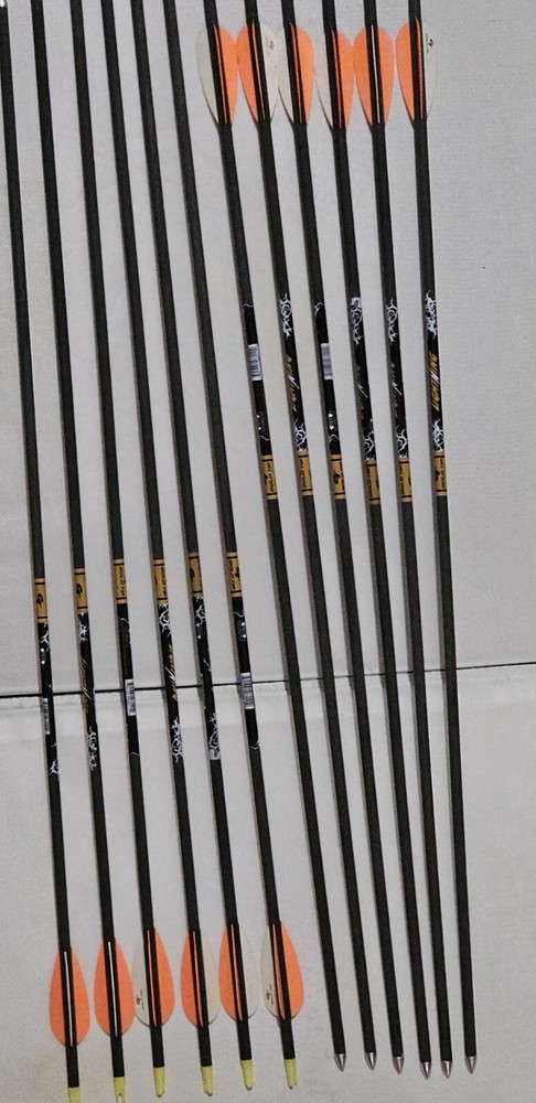 GOLD TIP ARROWS LIGHTING 1 DZ