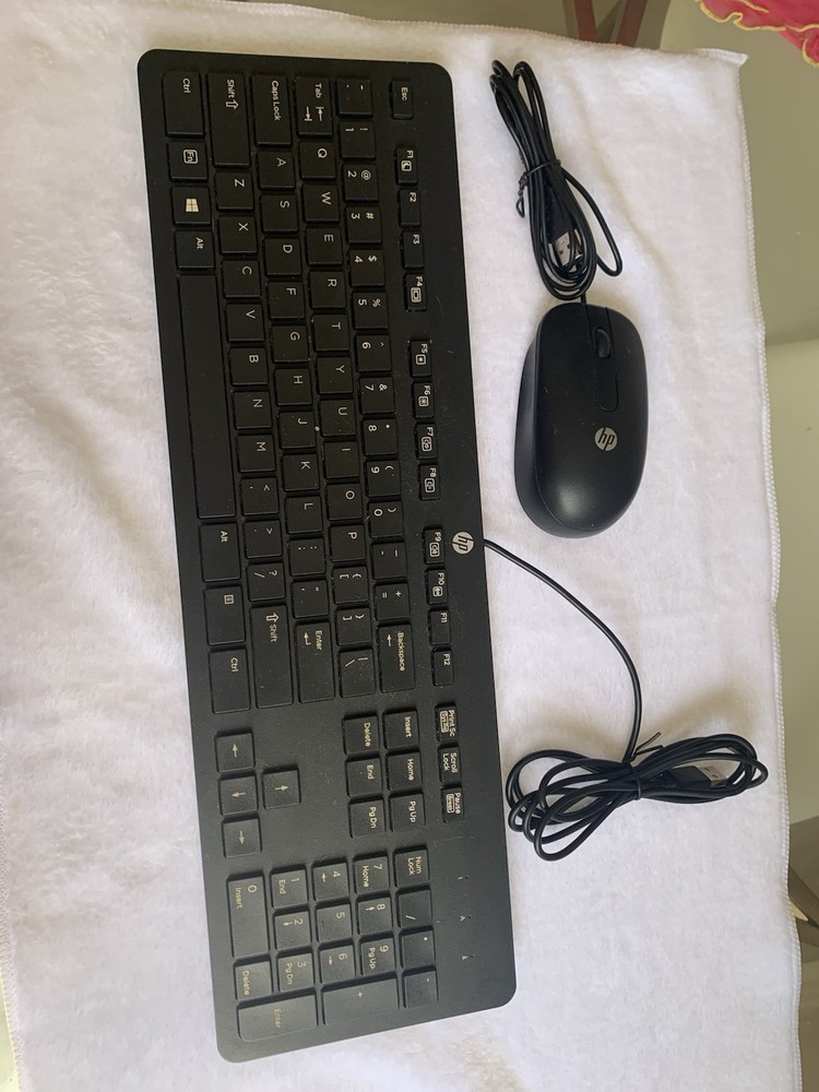 Standard HP Keyboard And Mouse