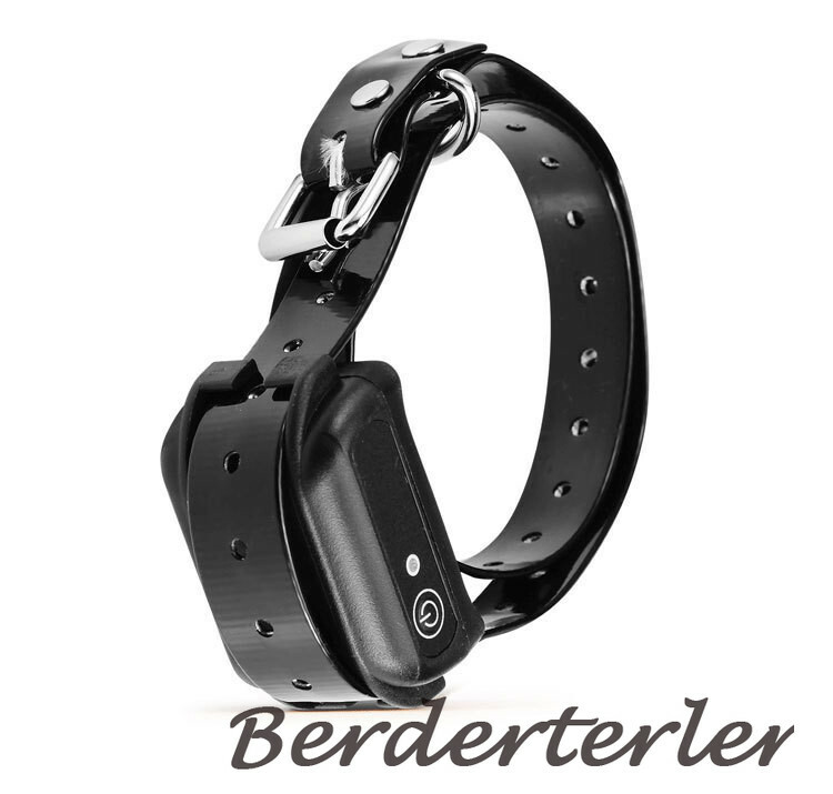Wireless Remote Control Electric Collar Testes Ring Restraint for Couple Collar