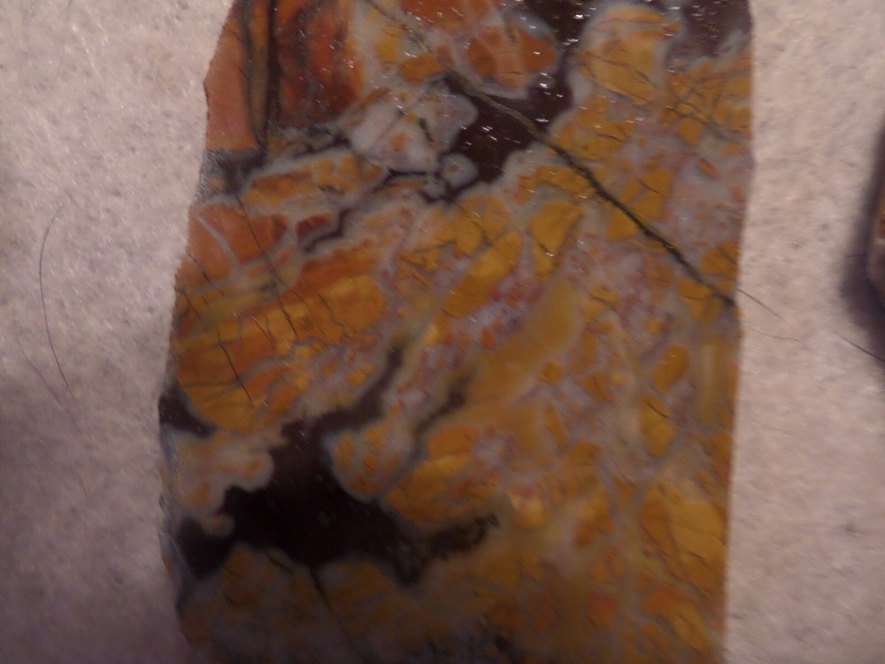Two NICE STONY CREEK Brecciated JASPER Slabs