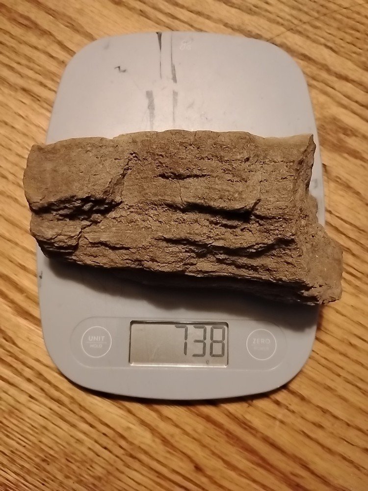 Petrified Wood 738g (Outer Bark)