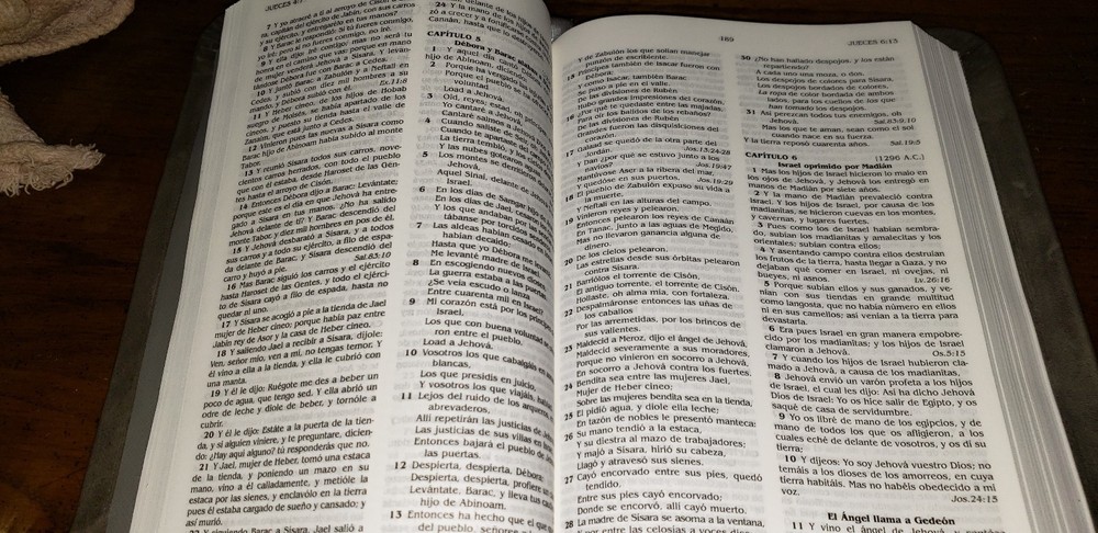 La Santa Biblia rebound Cowhide Spanish