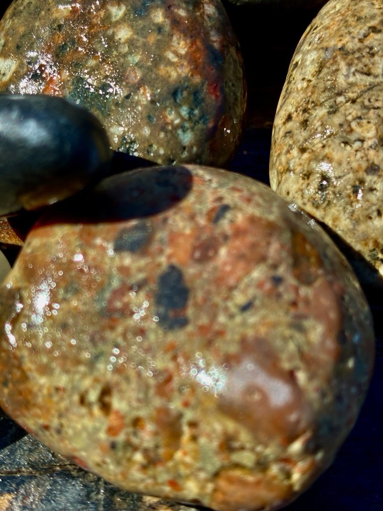 Jasper~ Solid ~ Lapidary ~ Rough Mixed Assortment 3 Lbs